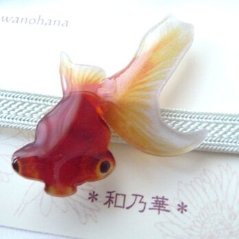 (帯留)涼しげな朱デメキン　正面　金魚の画像