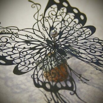 切り絵蝶の標本（N様オーダー品）の画像
