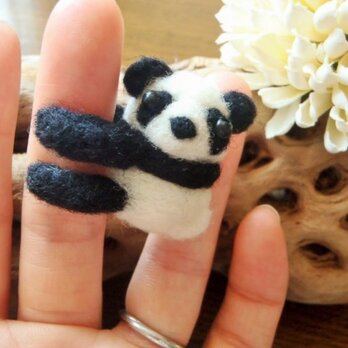 <再２>羊毛パンダの指輪の画像