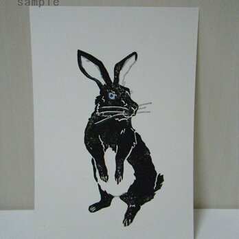 葉書〈Rabbit－1（黒）〉の画像