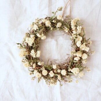 アキレア　mini　wreathの画像