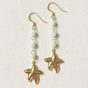 Starfish earringsの画像