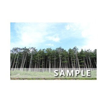 32）ポストカード5枚組　美しい夏の八千穂高原の画像