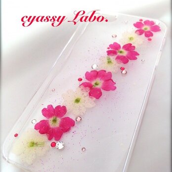 verbena　iphone5/5Sの画像