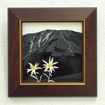 懐かしの山・思い出の花シリーズ「早池峰山・ハヤチネウスユキソウ」の画像