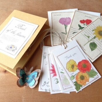 カードセット　(イエロー)