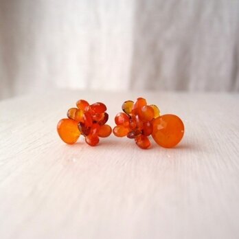 ご登録くださっている方へ