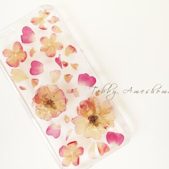 iPhone5 5s ばらの花畑