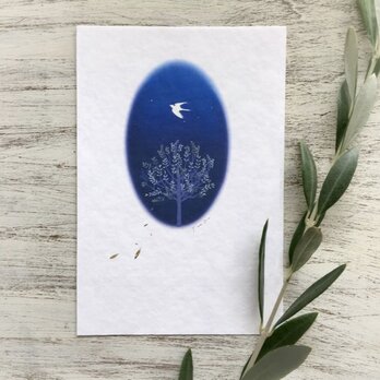 オリーブの樹と鳥　メッセージカード　の画像