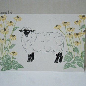 葉書〈クリザンティマムと羊－1〉の画像