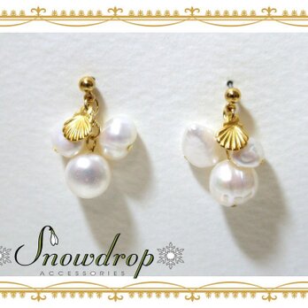 Pearl ×Shell piasの画像