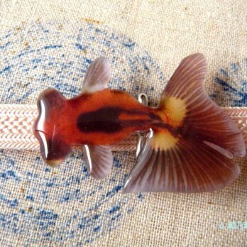 (帯留)涼しげな朱橙×墨デメキン　金魚の画像