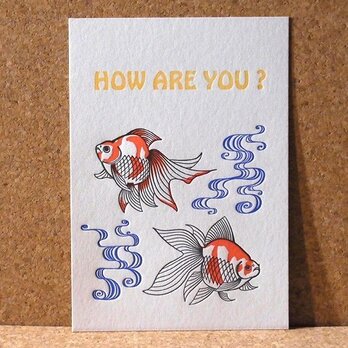 レタープレスカード金魚/3枚セットの画像