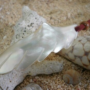 高瀬貝で作った白い羽根　⑦　バフ研磨仕上げの画像