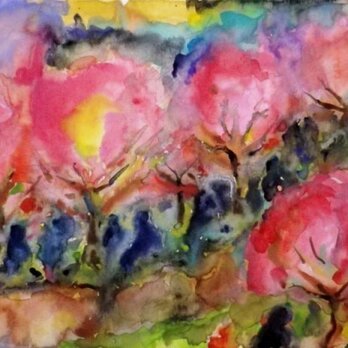 「桜宮の花見」の画像