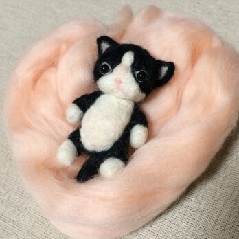 羊毛フェルト はちわれ子猫ちゃんドールの画像