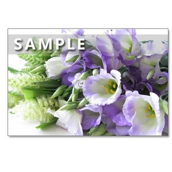 (64) 鮮やかな花たち          ポストカード 　の画像