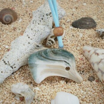 ⑥エメラルドグリーンとコバルトブルー　海の年輪・・・夜光貝の画像