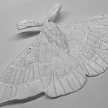 moth pendantの画像