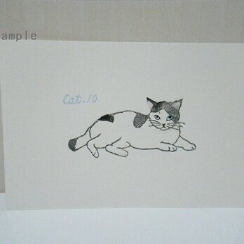 葉書〈cat⑩－2〉の画像