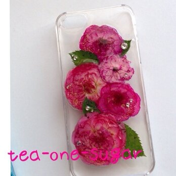 iPhone5/5s ROSE pressed flowerの画像