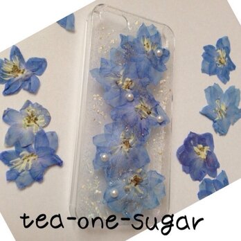 iPhone5.6 SKYBLUE pressedflowerの画像