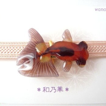 (帯留)涼しげな朱橙×墨デメキン　右向き　金魚の画像