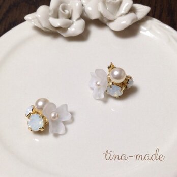 white flower pierceの画像