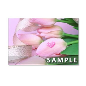 86）Postcard 5枚組　ピンクの世界・・花やコスメたちの画像