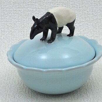 Tapir Candy Box-Aの画像