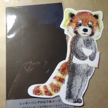 レッサーパンダのお手紙カードの画像