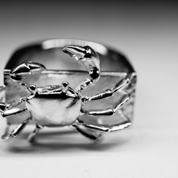 japanese crab ringの画像