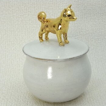 Gold Shiba Candy Box-Aの画像