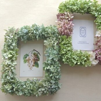 紫陽花のframe wreath-minaduki-の画像