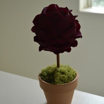 Flower topiary S (DP)の画像