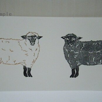 葉書〈羊2匹（ヨコ）－2〉の画像