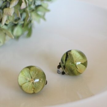 お花のまんまるイヤリング（ピアス）　あじさい(イヤリング)