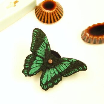 蝶のクリップ（アオスジアゲハ）の画像