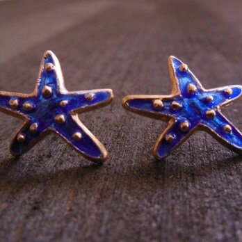 Starfish Pierce/Blueの画像
