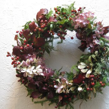 ニガイチゴとノバラの実の冬-wreathの画像