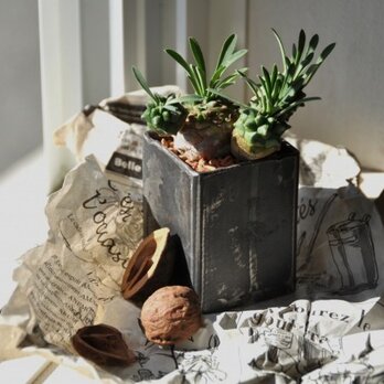 鉄の器　□50×65