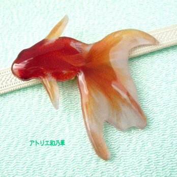 （帯留）涼しげな赤い金魚〈大〉左向き　の画像