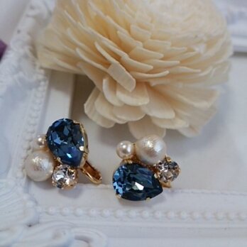 ドロップスワロの華やかイヤリング