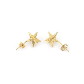 お星さまピアス