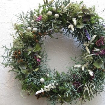 森のChristmas-wreathの画像