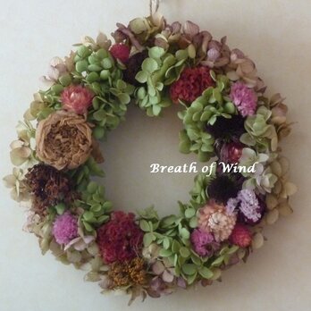 2色の紫陽花とケイトウのリース