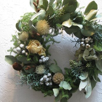 Green Christmas-wreathの画像