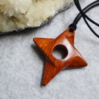 宇宙からのペンダント・サザンローズ１００－２2