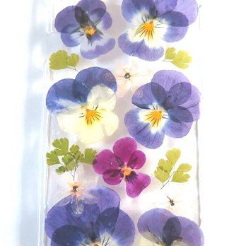 新春SALE! 　押し花　iPhone6 ケース　限定品