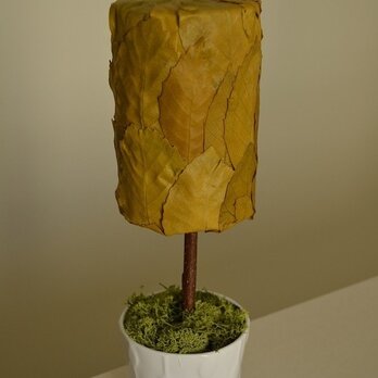 リーフトピアリー（円柱）Y